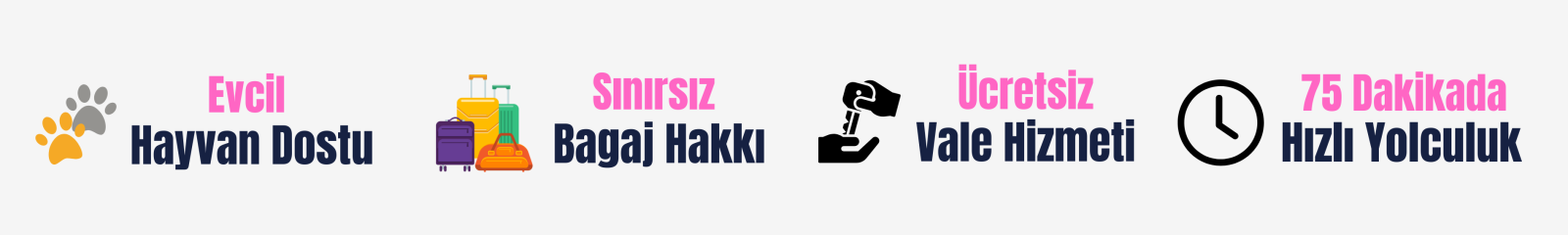 Büyük Banner